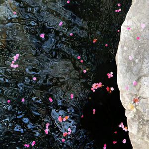 只有爸爸操我爽
